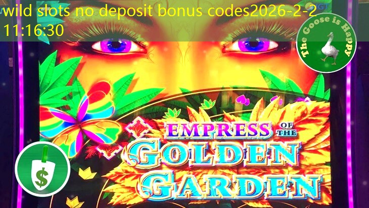 wild slots no deposit bonus codes wild slots no deposit bonus codes